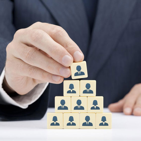 Leadership & Strategic Vision