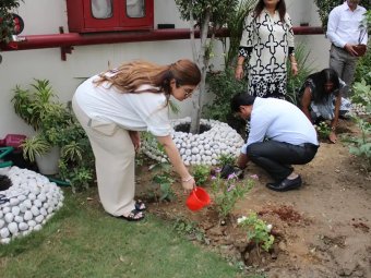 CSR Tree Plantation