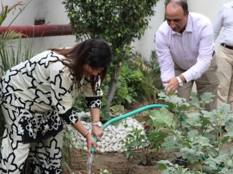 Plant Watering Activity