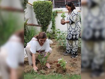 Sapling Plantation Activity