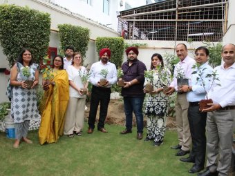 Tree Plantation Activity